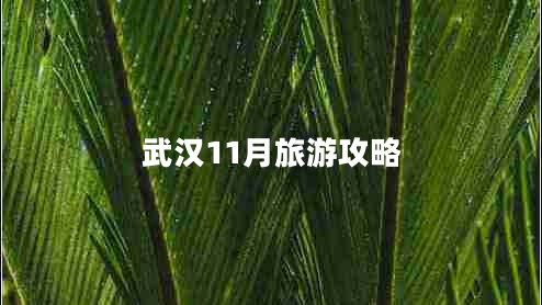 武漢11月旅游攻略
