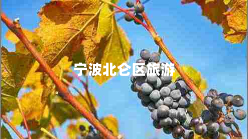 寧波北侖區(qū)旅游