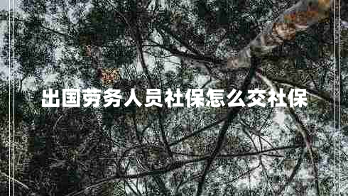 出國(guó)勞務(wù)人員社保怎么交社保