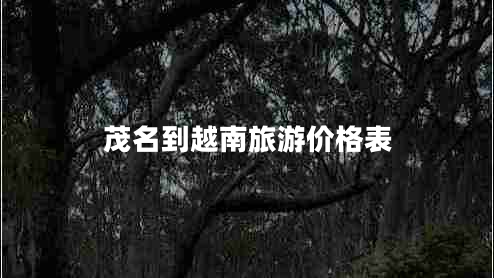 茂名到越南旅游價格表