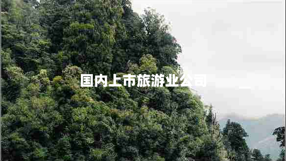 國內(nèi)上市旅游業(yè)公司