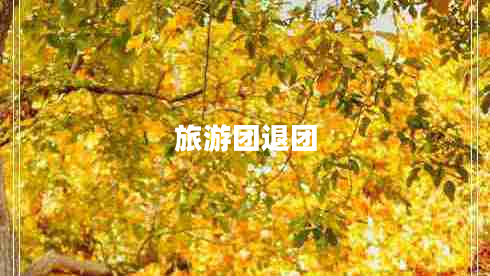 旅游團(tuán)退團(tuán)