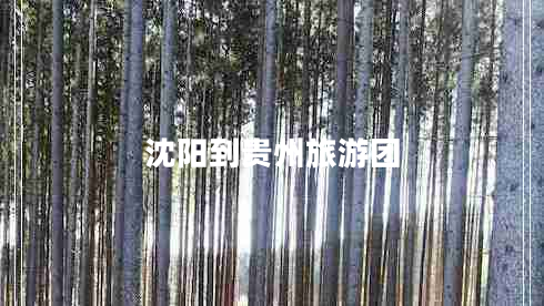 沈陽到貴州旅游團(tuán) 沈陽到貴州旅游團(tuán)