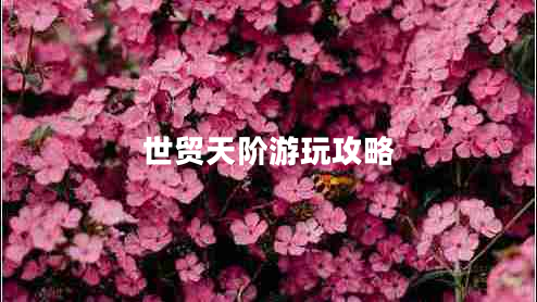 世貿(mào)天階游玩攻略 世貿(mào)天階游玩攻略