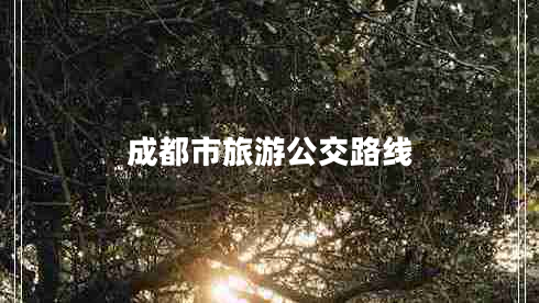 成都市旅游公交路線 成都市旅游公交路線