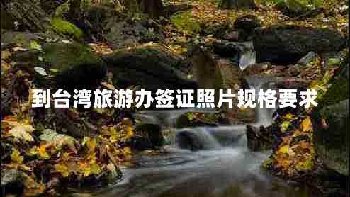 到臺(tái)灣旅游辦簽證照片規(guī)格要求