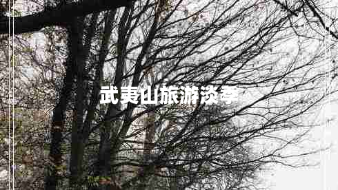 武夷山旅游淡季 武夷山旅游淡季