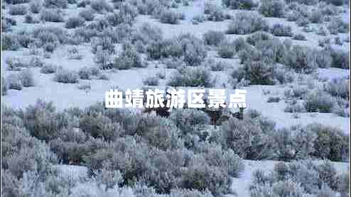 曲靖旅游區(qū)景點(diǎn)