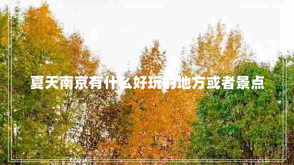 夏天南京有什么好玩的地方或者景點(diǎn)