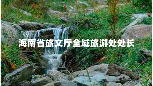 海南省旅文廳全域旅游處處長