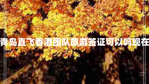 青島直飛香港團隊旅游簽證可以嗎現(xiàn)在