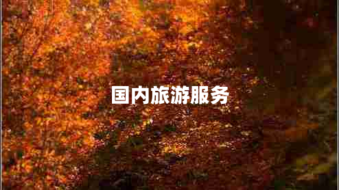 國(guó)內(nèi)旅游服務(wù) 國(guó)內(nèi)旅游服務(wù)