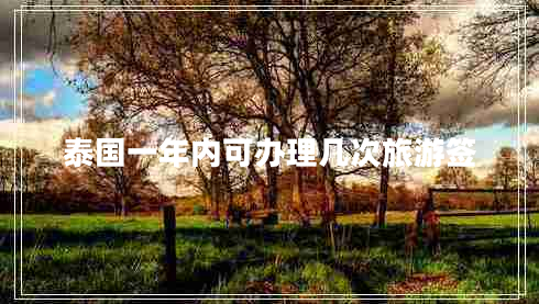 泰國(guó)一年內(nèi)可辦理幾次旅游簽