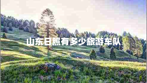 山東日照有多少旅游車隊