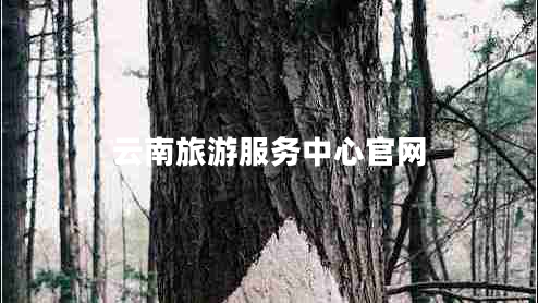 云南旅游服務(wù)中心官網(wǎng)