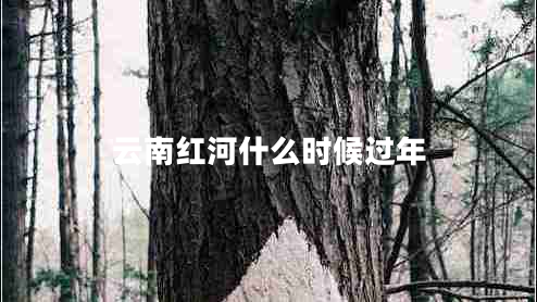 云南紅河什么時候過年 云南紅河什么時候過年