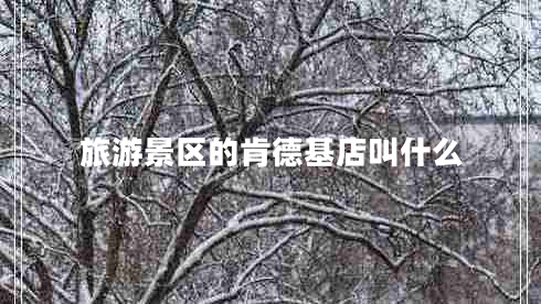 旅游景區(qū)的肯德基店叫什么