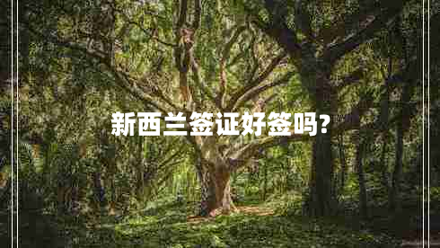 新西蘭簽證好簽嗎?