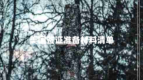 美國(guó)簽證準(zhǔn)備材料清單 美國(guó)簽證準(zhǔn)備材料清單