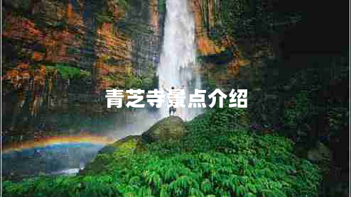 青芝寺景點介紹