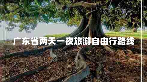 廣東省兩天一夜旅游自由行路線