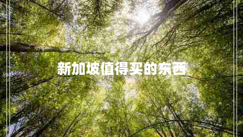 新加坡值得買的東西 新加坡值得買的東西