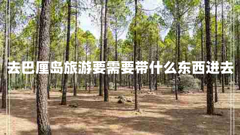 去巴厘島旅游要需要帶什么東西進去