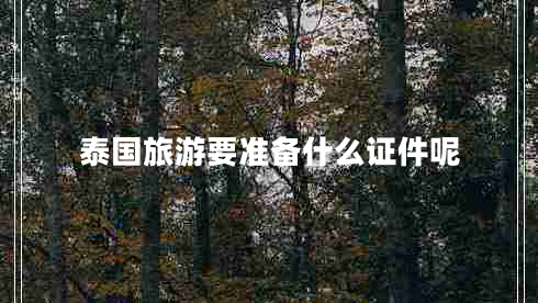 泰國旅游要準(zhǔn)備什么證件呢