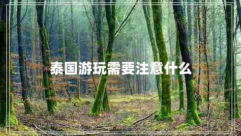 泰國游玩需要注意什么 泰國游玩需要注意什么