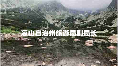 涼山自治州旅游局副局長(zhǎng)