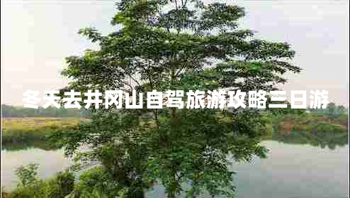 冬天去井岡山自駕旅游攻略三日游