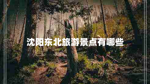 沈陽東北旅游景點有哪些