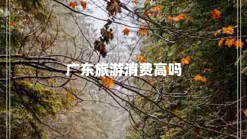廣東旅游消費(fèi)高嗎
