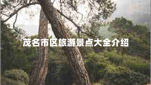 茂名市區(qū)旅游景點大全介紹