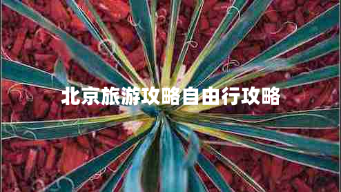 北京旅游攻略自由行攻略