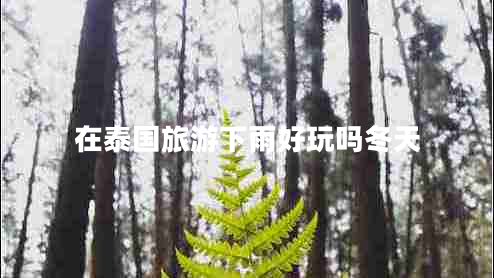 在泰國(guó)旅游下雨好玩嗎冬天