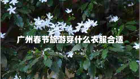 廣州春節(jié)旅游穿什么衣服合適