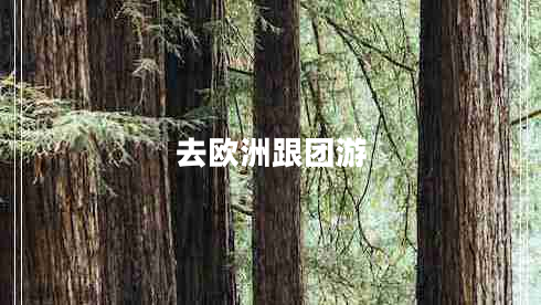 去歐洲跟團(tuán)游
