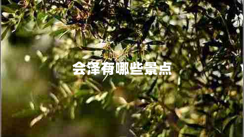 會(huì)澤有哪些景點(diǎn)