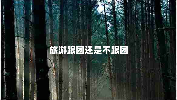 旅游跟團還是不跟團 旅游跟團還是不跟團