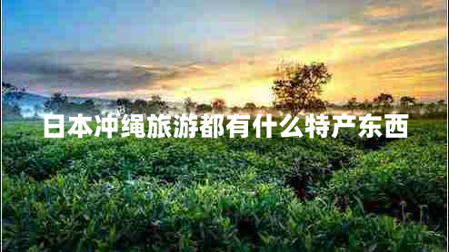 日本沖繩旅游都有什么特產(chǎn)東西
