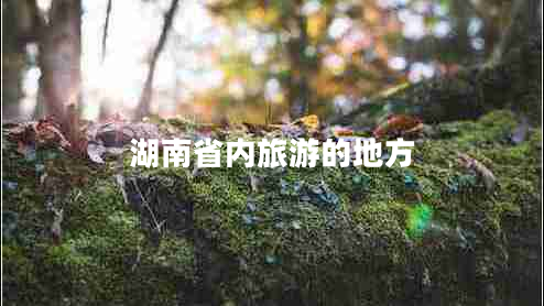湖南省內(nèi)旅游的地方