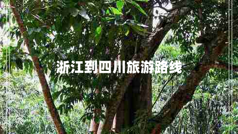 浙江到四川旅游路線 浙江到四川旅游路線