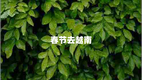 春節(jié)去越南