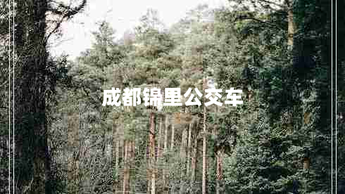 成都錦里公交車 成都錦里公交車