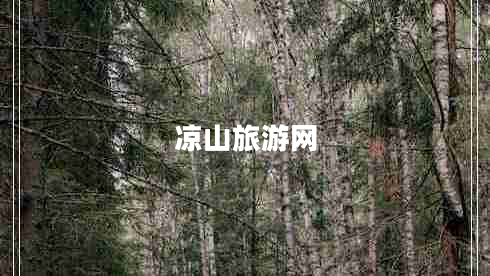 涼山旅游網(wǎng) 涼山旅游網(wǎng)