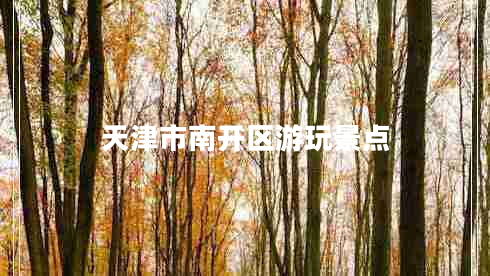 天津市南開(kāi)區(qū)游玩景點(diǎn) 天津市南開(kāi)區(qū)游玩景點(diǎn)