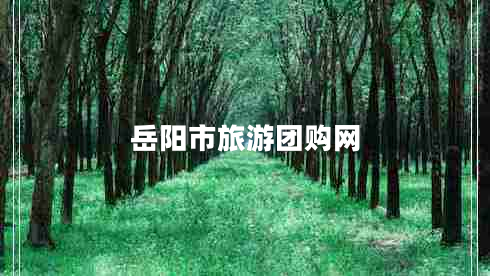岳陽(yáng)市旅游團(tuán)購(gòu)網(wǎng)