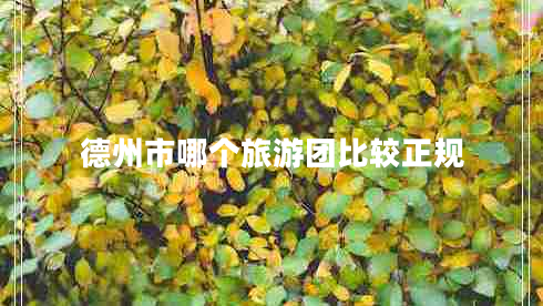 德州市哪個(gè)旅游團(tuán)比較正規(guī)