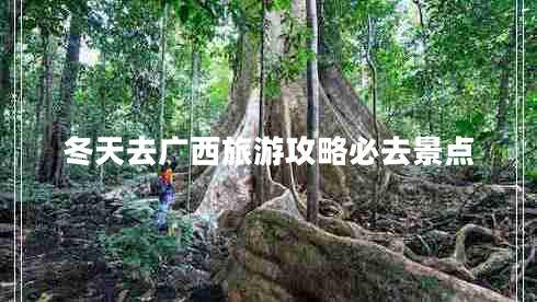 冬天去廣西旅游攻略必去景點